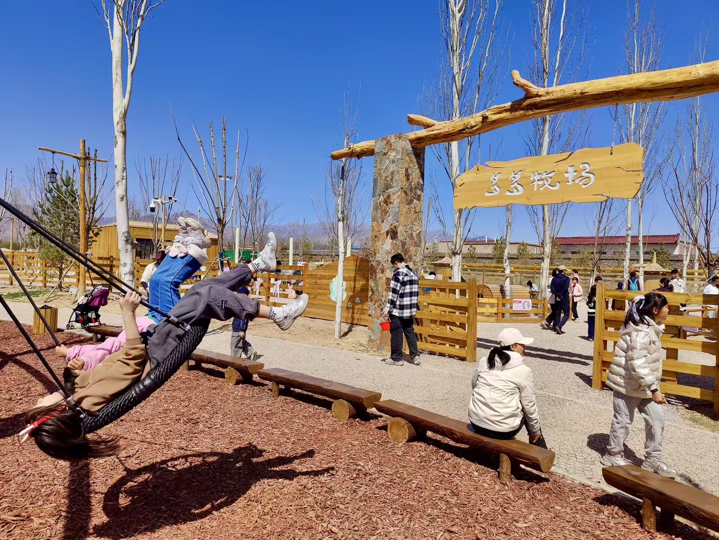 mmexport1743556592843